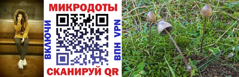Псилоцибиновые грибы Magic Shrooms  Купить  Костерёво 